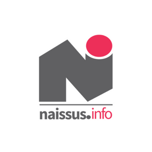Naissus info Produzenje konkursa za VI ciklus Kreativnog mentorstva 2021